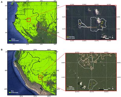 Reliably mapping low-intensity forest disturbance using satellite radar data